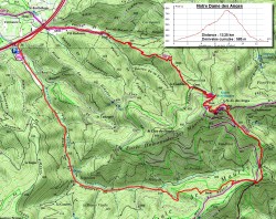 P3122926_copie.jpg