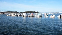 DSCF0534.jpg