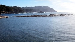 DSCF0542.jpg