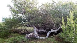 DSCF0566.jpg