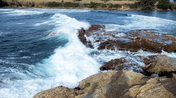 DSCF0583.jpg