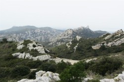 06.jpg