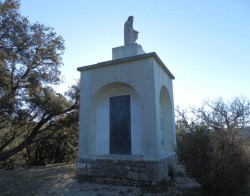 P1287537.jpg