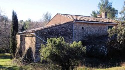 Photo-2.jpg