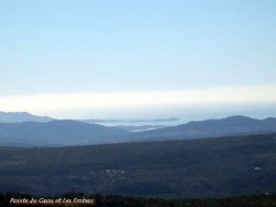 Photo-7.jpg