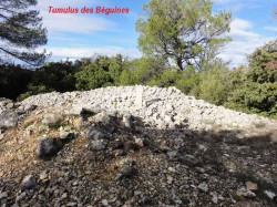Le-tumulus-des-Beguines-_1_.jpg
