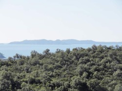 ile-de-Porquerolles.jpg