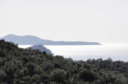 ile-de-Port-Cros.jpg