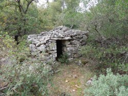 PA211639.jpg