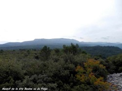 PA211645.jpg