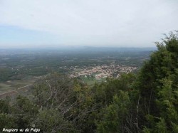 PA211657.jpg