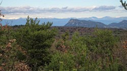 IMG_8256__RS.jpg, fév. 2016 IMG_8256__RS.jpg