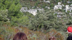 IMG_8356__RS.jpg, fév. 2016 IMG_8356__RS.jpg