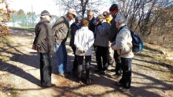 DSCF5519.jpg