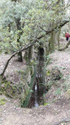 DSC06489.jpg
