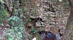 IMG_8022__RS.jpg