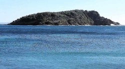 DSCF5284.jpg