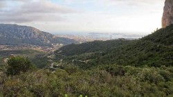 IMG_8135__RS.jpg
