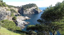 IMG_7945__RS.jpg