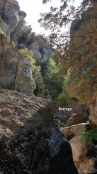 20171003_152211-b.jpg