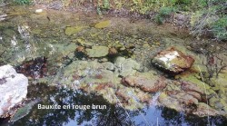 20171003_162746-b.jpg