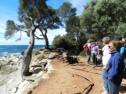 DSCN2388.jpg, mai 2017 DSCN2388.jpg