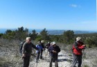 DSCN5805.jpg