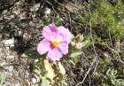 DSCN5809.jpg