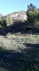 20221110_095617.jpg